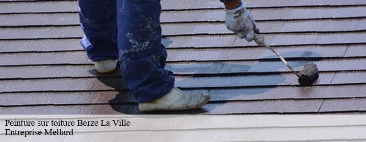 peinture-sur-toiture
