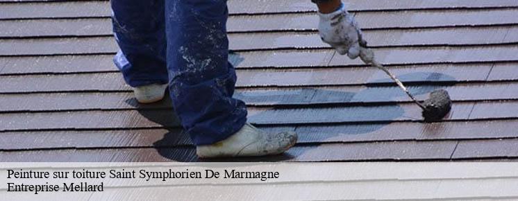 peinture-sur-toiture
