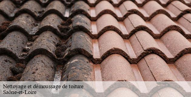 nettoyage-et-demoussage-de-toiture