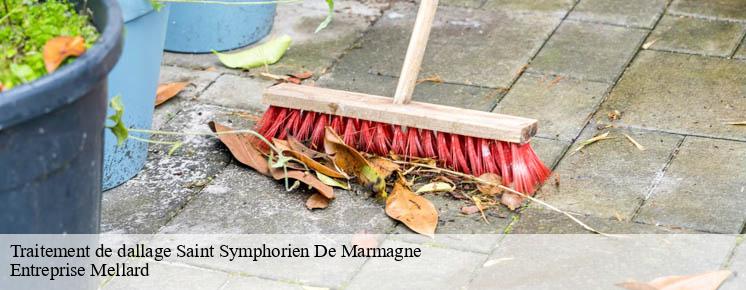 traitement-de-dallage
